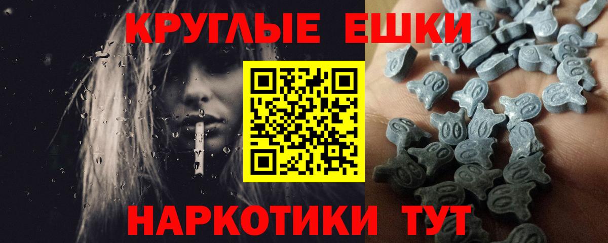 Ecstasy Philipp Plein Бердск